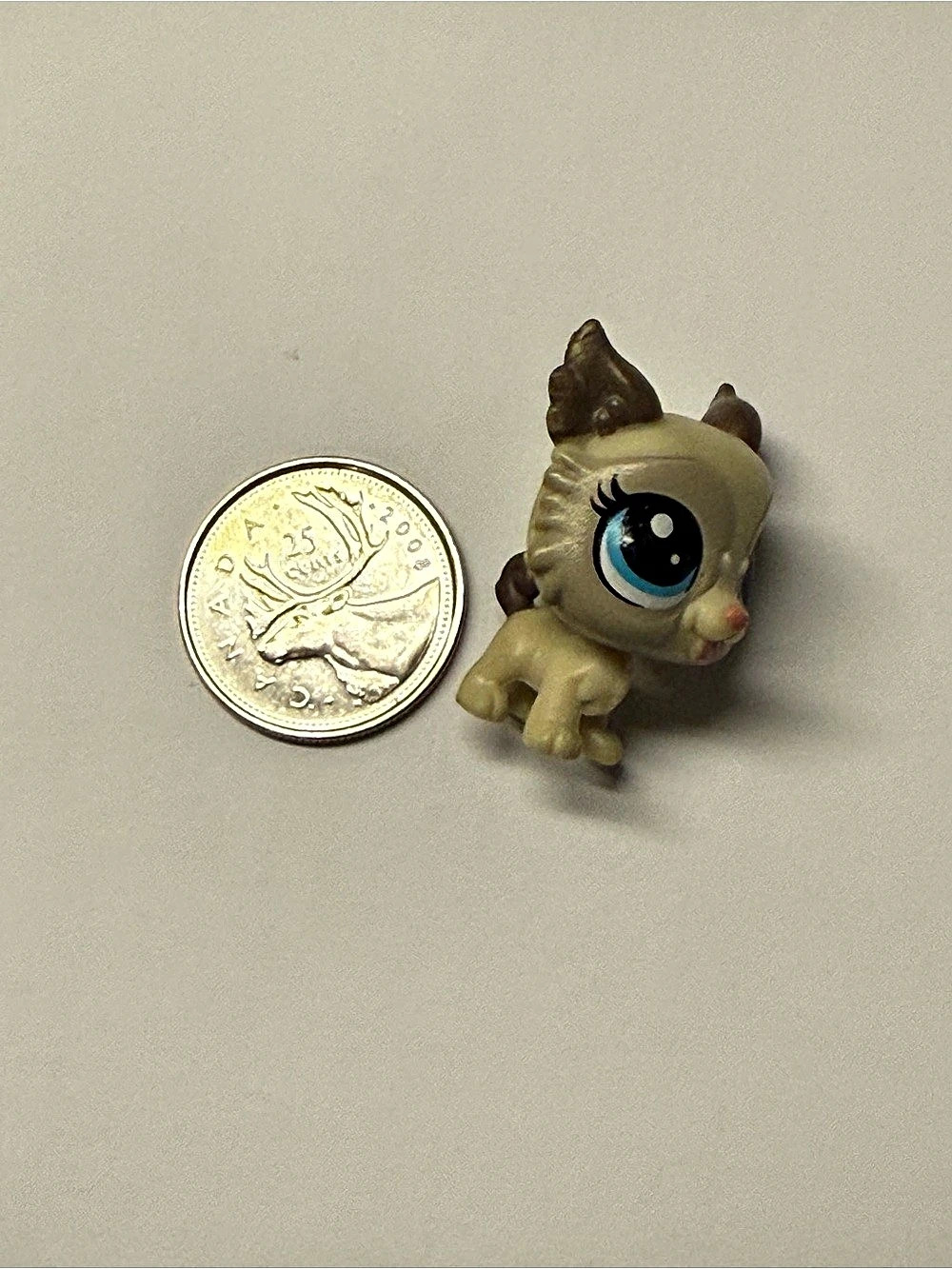 Littlest Pet Shop #72 Tipsy Apso Small
